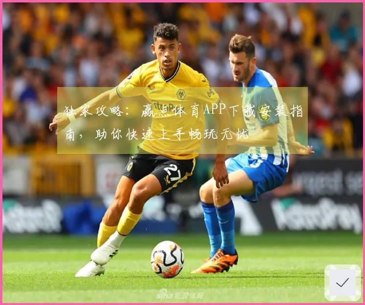 独家攻略：赢点体育APP下载安装指南，助你快速上手畅玩无忧
